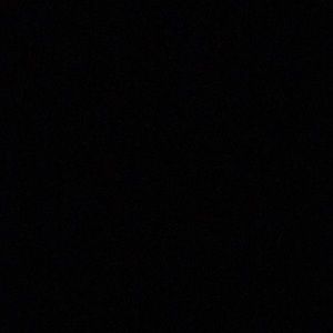 Meet your Posher, Penelope